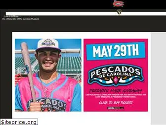 carolinamudcats.com