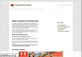 carpentry-pro-framer.com