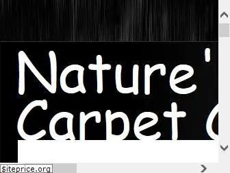 carpetcleaningtampa.com