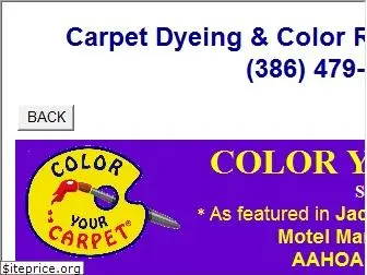 carpetdyers.com