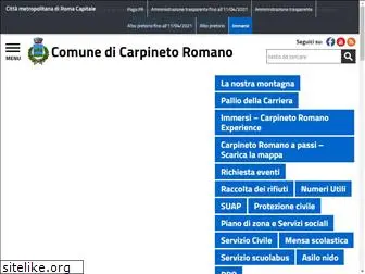 carpinetoromano.it