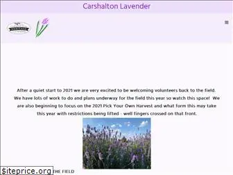 carshaltonlavender.org