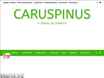 caruspinus.pt