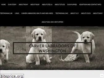 carverlabradors.com