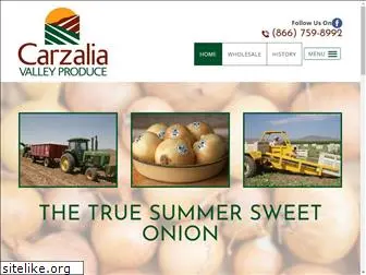 carzaliavalley.com