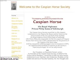 caspianhorsesociety.org.uk