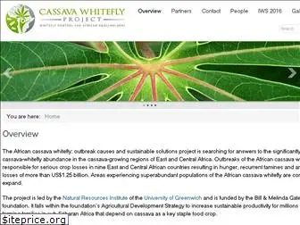 cassavawhitefly.org