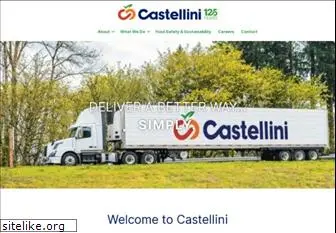 castellinicompany.com