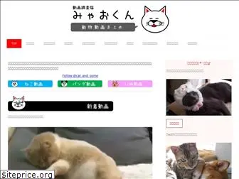 cat-and-something.com