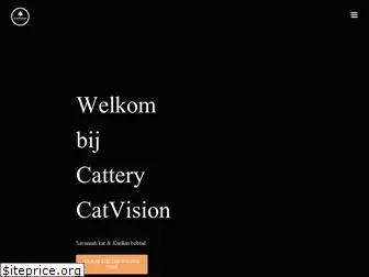 cat-vision.com