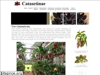 catasetinae.com