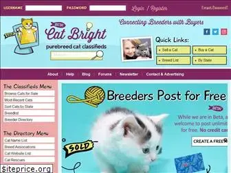 catbright.com