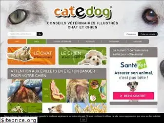 catedog.com