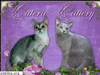 cateracattery.com