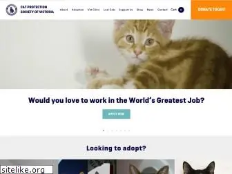 catprotection.com.au