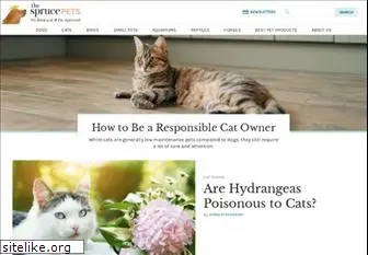 cats.about.com