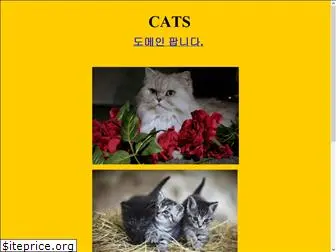 cats.co.kr