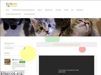 catsavior.com