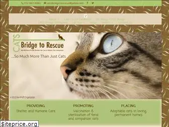 catsbridge.org