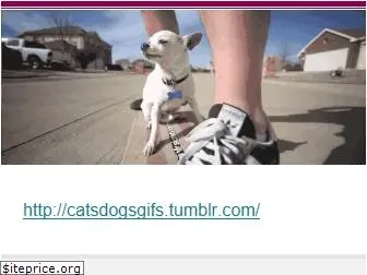 catsdogsblog.com