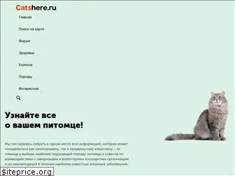 catshere.ru