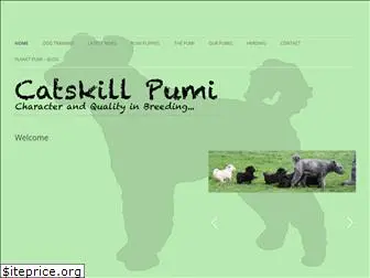 catskillpumi.com