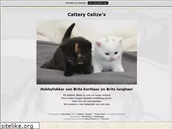 catterycelizes.nl