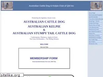 cattledog-kelpieclubqld.com