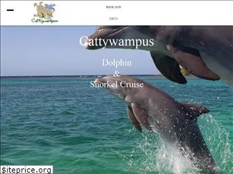 cattywampus-snorkeling.com