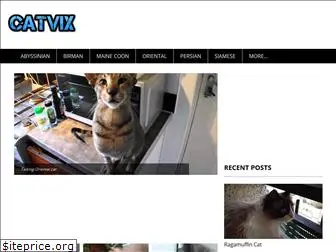 catvix.com