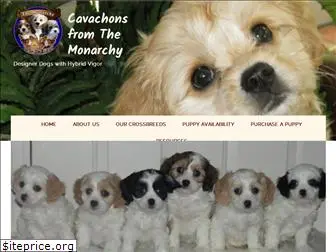 cavachonsfromthemonarchy.com