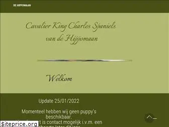 cavalierkingcharlesspaniel.be