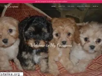 cavapoopuppiesplace.com