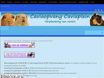 caviaplein.nl