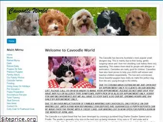 cavoodleworld.com.au