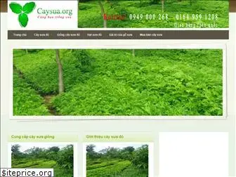 caysua.org