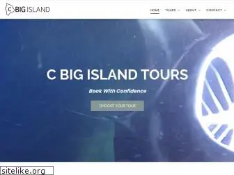 cbigisland.com