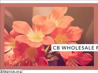 cbwholesalefloral.com