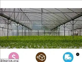 ccgrow.com