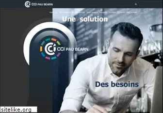 ccipau.fr