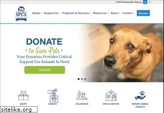 ccspca.com