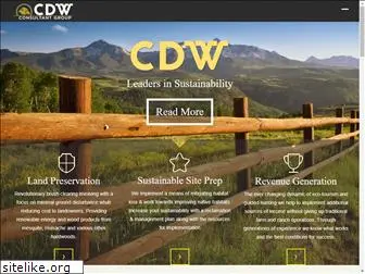 cdwconsultant.com