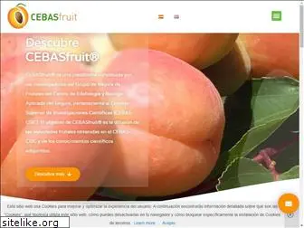 cebasfruit.com