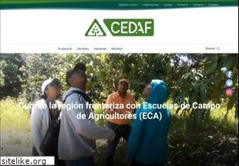 cedaf.org.do