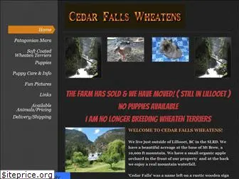 cedarfallswheatens.com