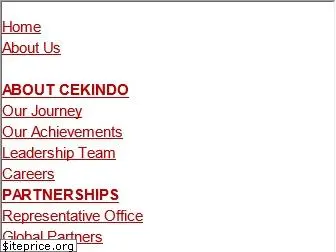 cekindo.com
