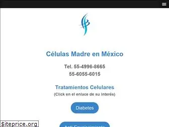 celulasmadreenmexico.info