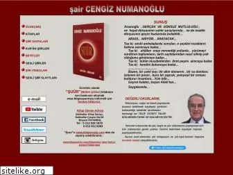 cengiz-numanoglu.com