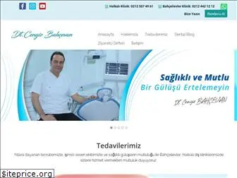 cengizbahcevan.com