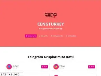 cengturkey.com